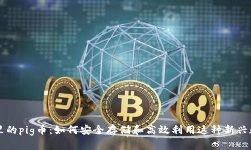 tp钱包里的pig币：如何安全存储和高效利用这种新兴数字货币